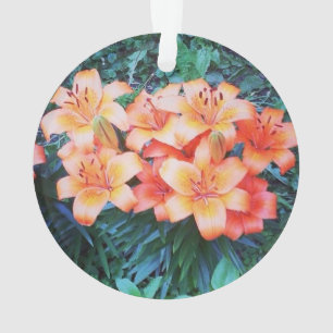 Ornement de lis tigré