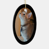 Ornement de l'ovale 2-Sided encadré par photo de (Droite)