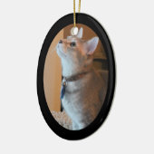 Ornement de l'ovale 2-Sided encadré par photo de (Gauche)