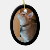 Ornement de l'ovale 2-Sided encadré par photo de (Dos)