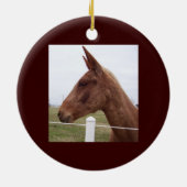 Ornement de marée de mule (Dos)