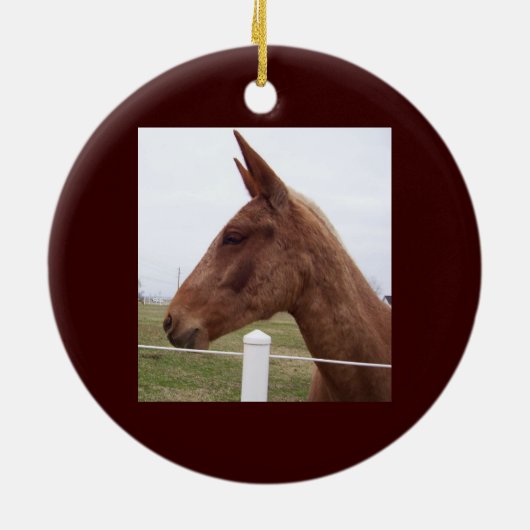 Ornement de marée de mule (Dos)