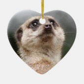 Ornement de Meerkat (Devant)