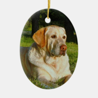 Ornement de mémoire d'animal familier - faites vos