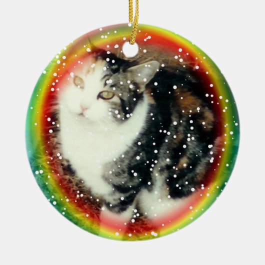 Ornement de mémorial de pont en arc-en-ciel (Devant)