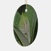 Ornement de métamorphose (Droite)