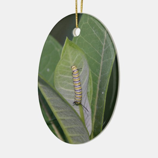 Ornement de métamorphose (Gauche)