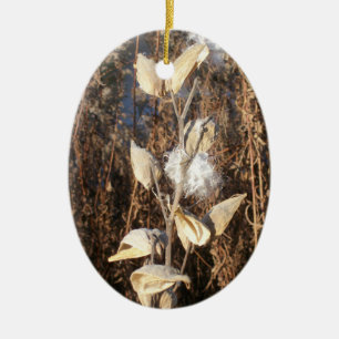 Ornement de Milkweed