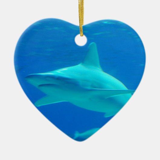 Ornement de natation de requin (Devant)