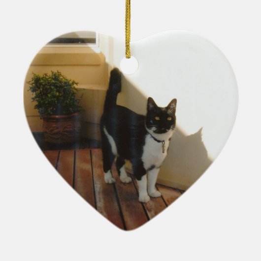 Ornement de Noël (Dos)