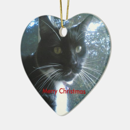 Ornement de Noël (Gauche)