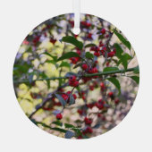 Ornement de Noël (Verso)