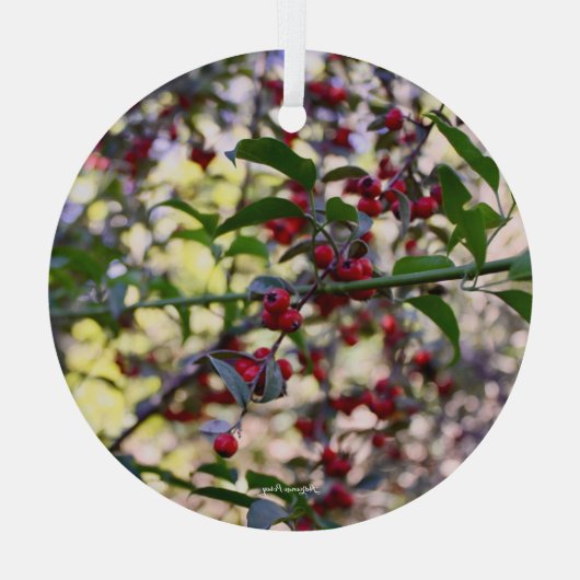 Ornement de Noël (Verso)