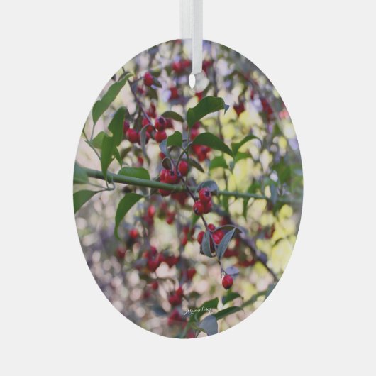 Ornement de Noël (Avant droite)