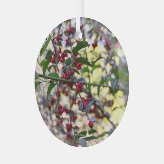 Ornement de Noël (Avant gauche)