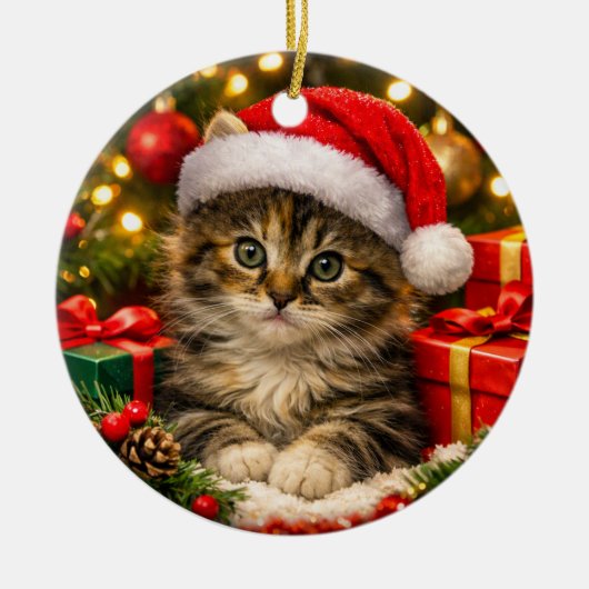 Ornement de Noël Adorable Chat Fluffy (Devant)