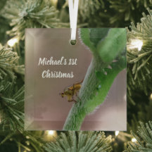 Ornement de Noël avec photo personnalisée de mouch
