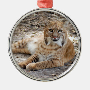 Ornement de Noël Bobcat