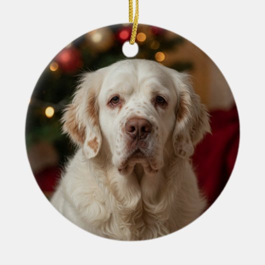 Ornement de Noël Clumber Spaniel (Devant)