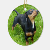 Ornement de Noël Dachshund avec votre photo (Gauche)