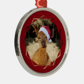 Ornement de Noël d'alpaga (Droite)