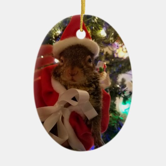 Ornement de Noël d'amarante (Devant)