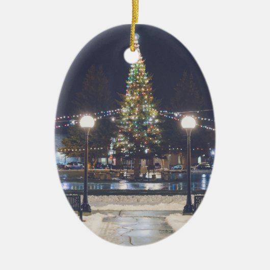 Ornement de Noël d'anaconda (Devant)