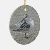 Ornement de Noël de bécasseau (Droite)