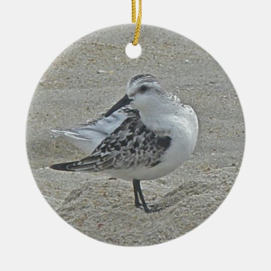 Ornement de Noël de bécasseau (Devant)