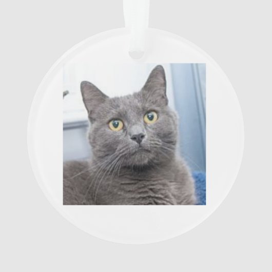 Ornement de Noël de bon côté (dos)