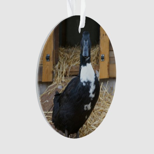 Ornement de Noël de canard (devant)