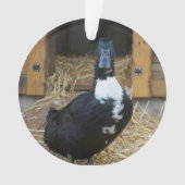 Ornement de Noël de canard (devant)