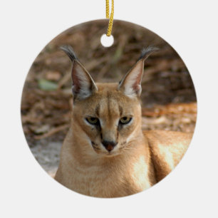 Ornement de Noël de Caracal Lynx