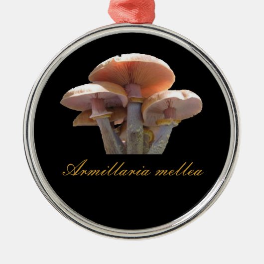 Ornement de Noël de champignon de miel (Devant)