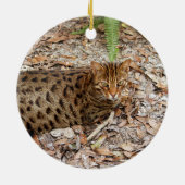 Ornement de Noël de chat du Bengale (Dos)