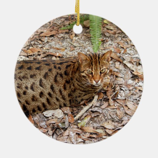 Ornement de Noël de chat du Bengale (Dos)