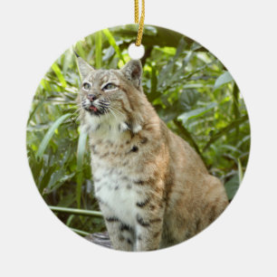 Ornement de Noël de chat sauvage