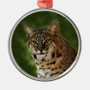 Ornement de Noël de chat sauvage