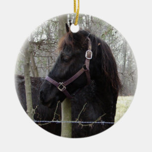 ORNEMENT DE NOËL DE CHEVAL