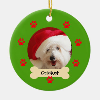 Ornement de Noël de chien photo