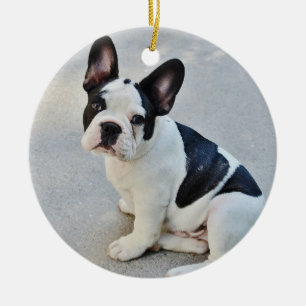 Ornement de Noël de Chien-taureaux français avec v