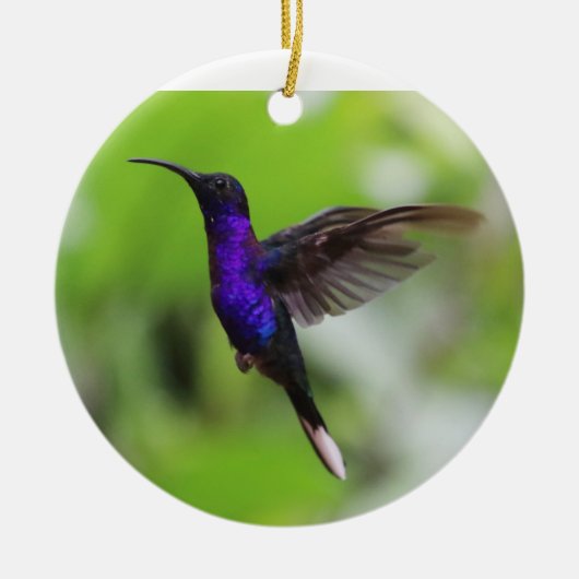 Ornement de Noël de colibri pourpre (Devant)