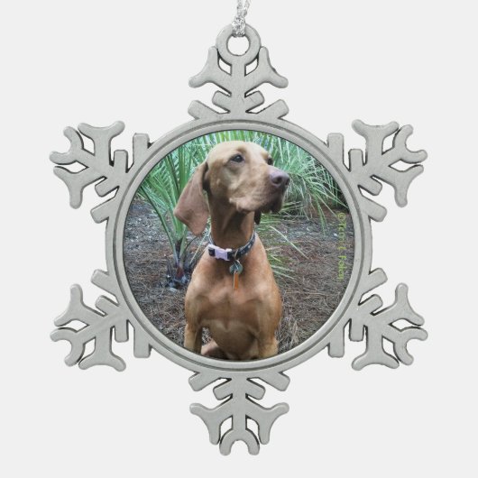 Ornement de Noël de flocon de neige de Vizsla (Devant)