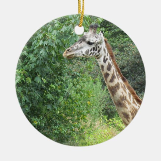 Ornement de Noël de girafe (Devant)