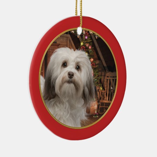 Ornement de Noël de Havanese (Droite)