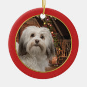 Ornement de Noël de Havanese (Devant)