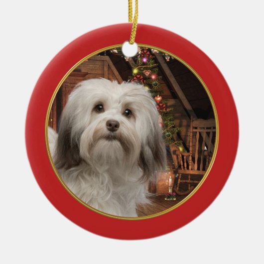 Ornement de Noël de Havanese (Devant)