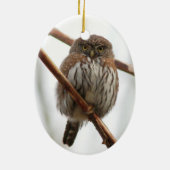 Ornement de Noël de hibou - Pygmée-Hibou du nord (Dos)