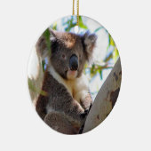 Ornement de Noël de koala (Droite)