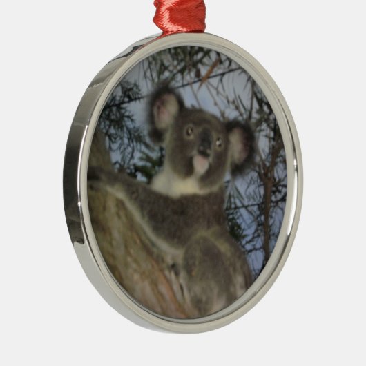 Ornement de Noël de Koala (Droite)